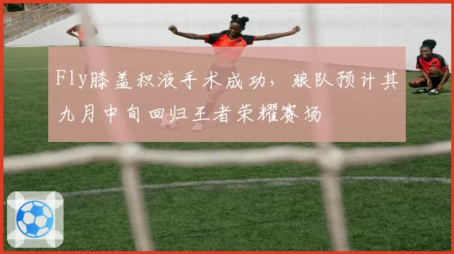 Fly膝盖积液手术成功，狼队预计其九月中旬回归王者荣耀赛场