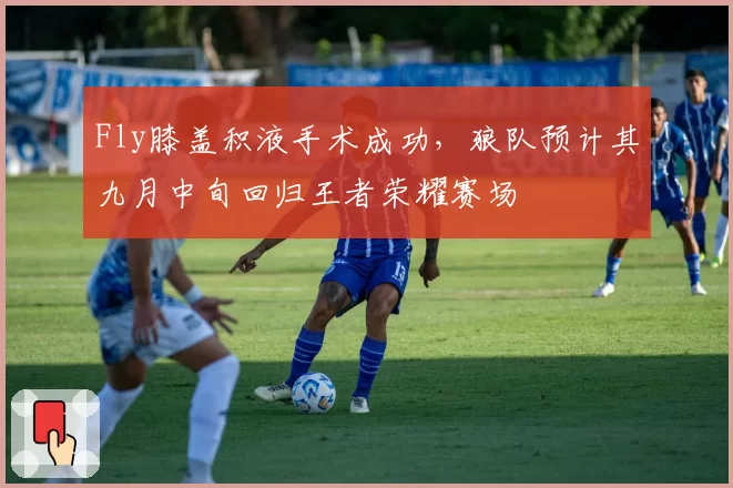 Fly膝盖积液手术成功，狼队预计其九月中旬回归王者荣耀赛场