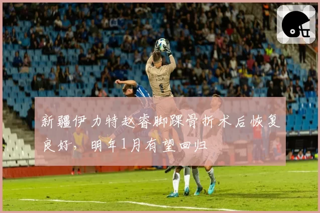 新疆伊力特赵睿脚踝骨折术后恢复良好，明年1月有望回归