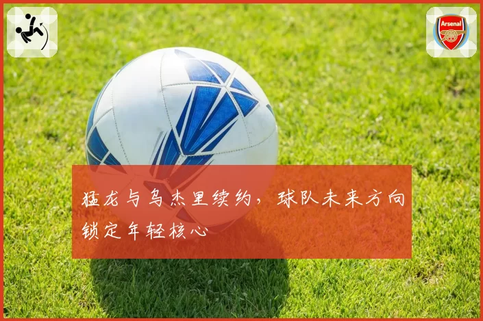 猛龙与乌杰里续约，球队未来方向锁定年轻核心
